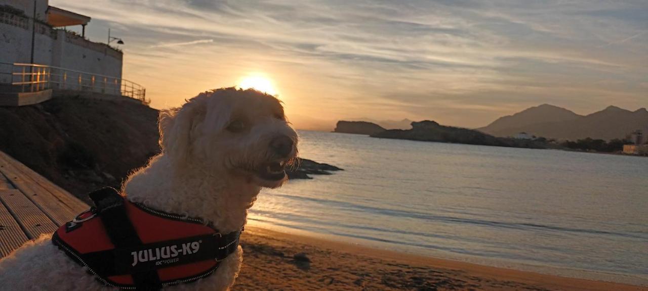 El Puerto de Mazarrón Sunrise Den, A Pie De Playa, Vista Al Mar Y Piscina 빌라 외부 사진